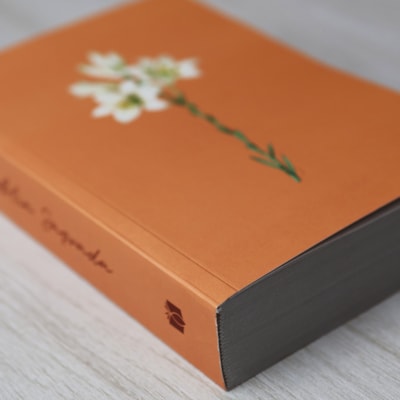 image_314a898f-f778-4577-8ceb-4e72e8d1544b