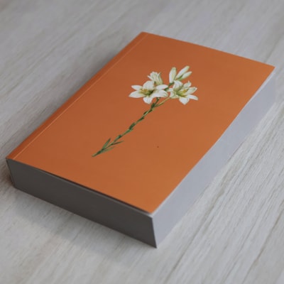 image_63f41d26-9179-4741-9531-e340b3cbd17e