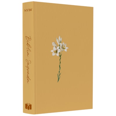 Imagem Principal - 11332232-d91a-4ac5-be4d-d4b1b4fdde69