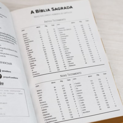 image_092ad787-431c-41f0-8803-8bd75cc95c6a