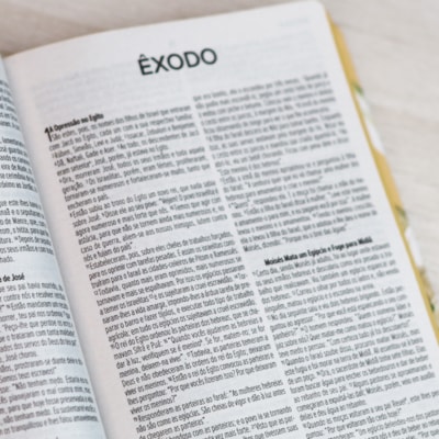 image_beedf0b6-806e-49a6-baaf-8ebc54e09592