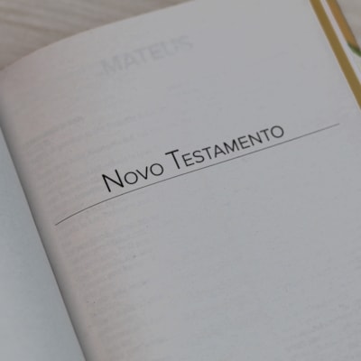 image_e68ad784-0632-49f3-ac94-836165f28d0e