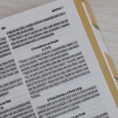 image_2ecb105c-a30f-49d5-8a8f-5a0086fb420d