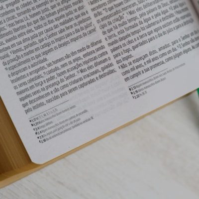 image_9ac81355-8297-4949-b46c-ddf3113dcf35