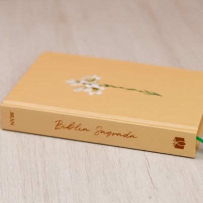 image_74d5e020-b6b3-48de-b3ea-32ec09a7140a