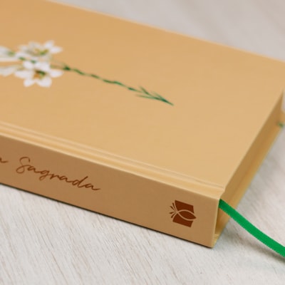 image_92bf6623-dba7-49a4-af3e-36d8fed3d035