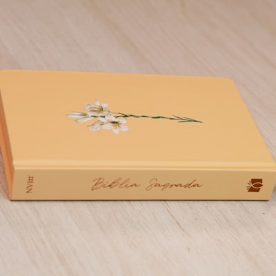 image_745699ef-9aa5-4a75-ab4d-83ce56402bf7