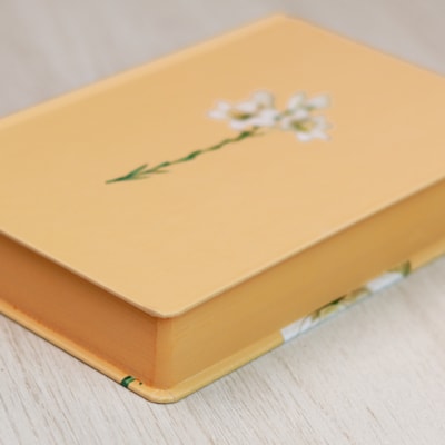 image_ddab4853-2c31-42a9-b27d-5be1d6eb85b1