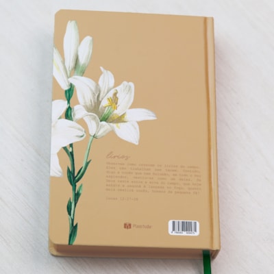 image_e4063e85-d558-4e9b-8ed3-dc423503a3e1