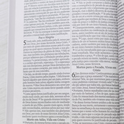 image_d0b1980a-e076-42c5-b3f8-10e716e31249