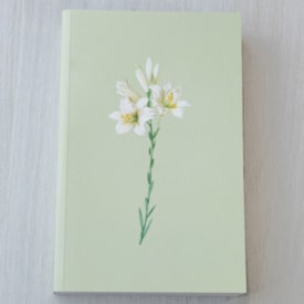 Segunda imagem do produto Bíblia Sagrada Lírios | NVI | Letra Grande | Capa Brochura