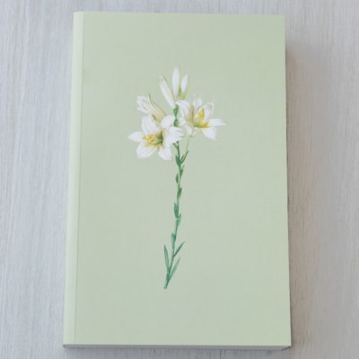 image_63924051-9beb-4f6e-97e5-1ffeccb795f8