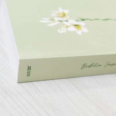 image_cc34f98e-f8e4-4c34-abdc-a8d114e06cc2