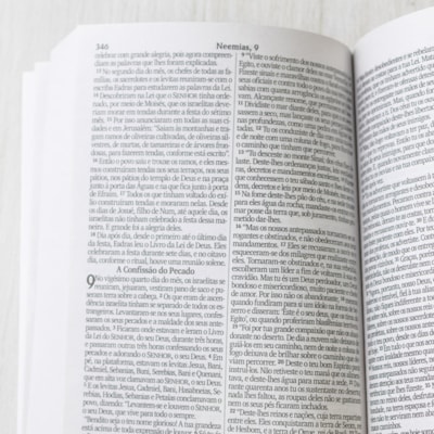 image_a0e611ea-3de7-4562-875c-9727625c3bac