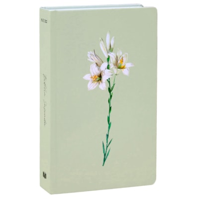 Imagem Principal - ff9d3275-890e-4b66-ae4f-ba9c6a3d01f6