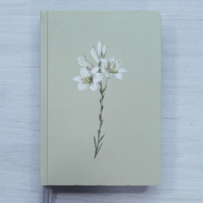 image_3d0e8ddd-84fe-4946-9158-69ea7ae6f573