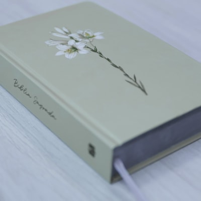 image_ba859704-cd34-41a0-a49e-897742035e00