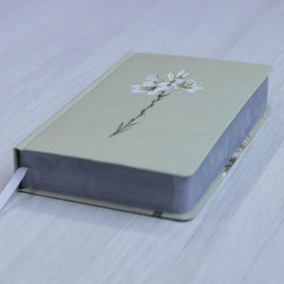 image_74f36032-3b35-4f3d-9414-8854e4a004d9