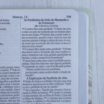 image_98c9caa7-779b-4a81-a61c-dbf2de12fdb3