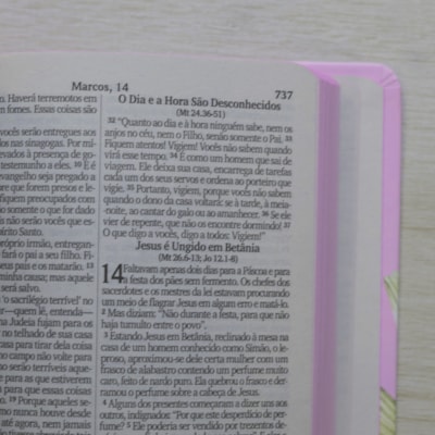 image_fc8d98bc-d2fa-44fa-806b-ba251236c736