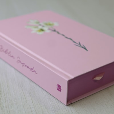 image_6a8788e9-8fea-4e10-9150-6ee74d77541f