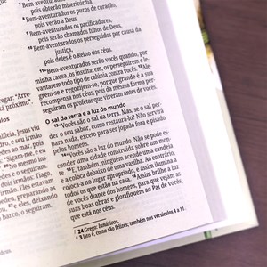 Bíblia Sagrada Lírios | NVI | Letra Normal | Capa Dura