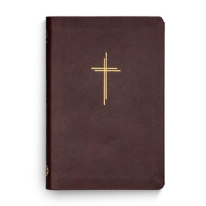 Bíblia Sagrada Livres Slim | NAA | Capa Vinho