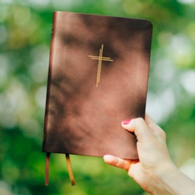 Segunda imagem do produto Bíblia Sagrada Livres Slim | NAA | Capa Vinho