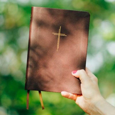 Segunda imagem do produto Bíblia Sagrada Livres Slim | NAA | Capa Vinho