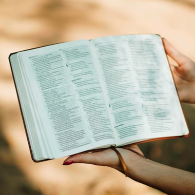 image_6a025e6f-c5b5-4a6c-a80f-1ac70aac5654