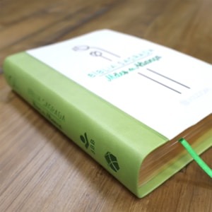 Segunda imagem do produto Bíblia Sagrada Mães da Aliança | ARA | Letra Normal | Capa Luxo Verde Marfim