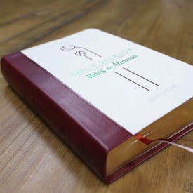 Segunda imagem do produto Bíblia Sagrada Mães da Aliança | ARA | Letra Normal | Capa Luxo Vinho Marfim