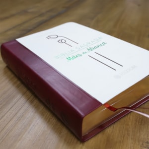Segunda imagem do produto Bíblia Sagrada Mães da Aliança | ARA | Letra Normal | Capa Luxo Vinho Marfim