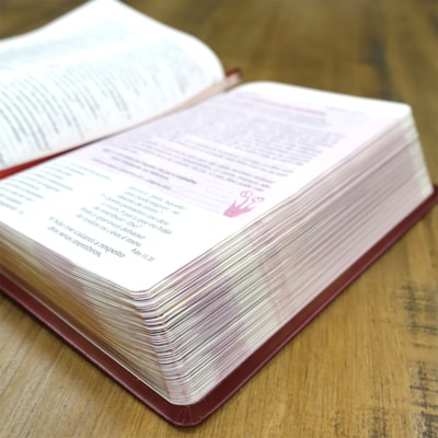 image_98f7dde6-8532-4c7c-8138-1df67699e39c