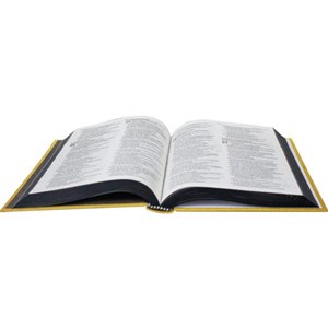 Bíblia Sagrada Mão | NAA | Capa Dura