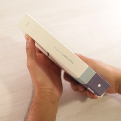 image_a6cfc28a-7c3d-45b3-97b3-d93cc964f23c