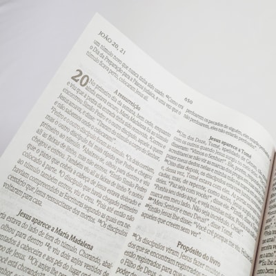 image_4e0bbc75-1505-4306-adf4-9c48ee99becc