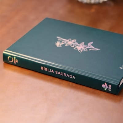 image_468b70bd-fd3e-4ba7-800f-d0e6802a13a5