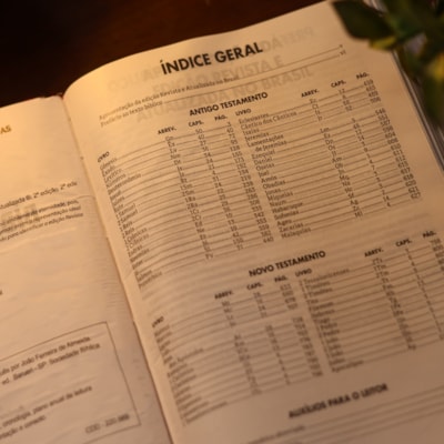 image_24392561-c0a5-4ea2-ae57-d6709dacb734