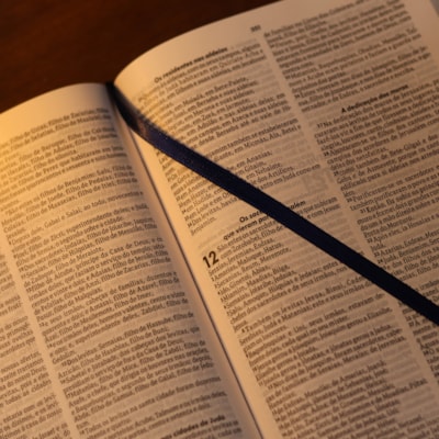 image_65e3581a-6163-4d03-8f8d-1625b9cb324c