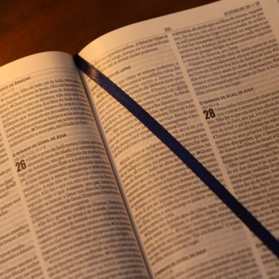 image_f5afe4ec-1ac7-44ce-b8e6-18dbd66fac23