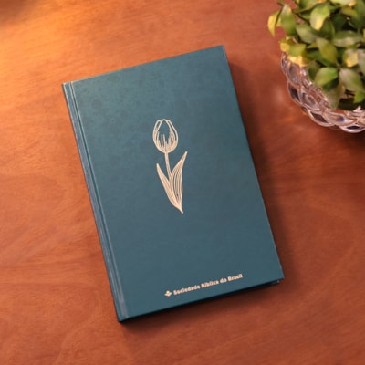 image_d79135d1-e661-4332-acf9-79afc08b6e79