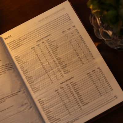 image_aceb03d1-334d-4d69-9f19-8a7b83dc570a