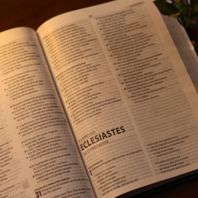 image_f5a88dc7-dccc-4381-9de0-9160ef7fd422