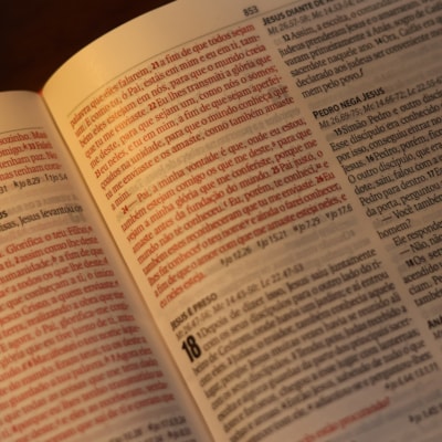 image_13993ac1-65d8-4a49-85da-92d2264b287c