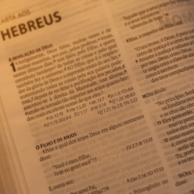 image_62663029-b616-43c9-977a-f1f40874beb4