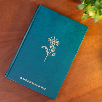 image_161bc125-f188-43ff-b55b-b0a6a05fb722