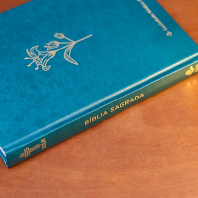 image_487eac78-3402-4e42-91d5-bdd5db94daf8