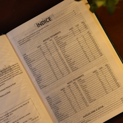 image_06defb37-445c-43a8-aa2a-15e31e97a6c6