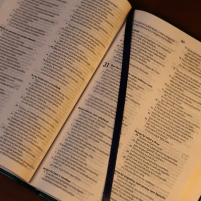 image_9bff8595-d468-4c4b-a529-bed627f876b5